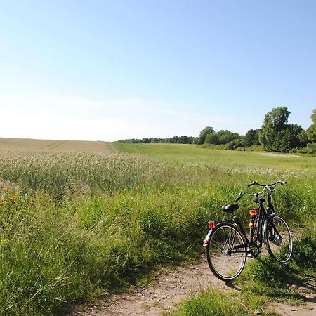 Appartementanlage-Ferienwohnungen Weisse Moewe Sassnitz Esterno foto