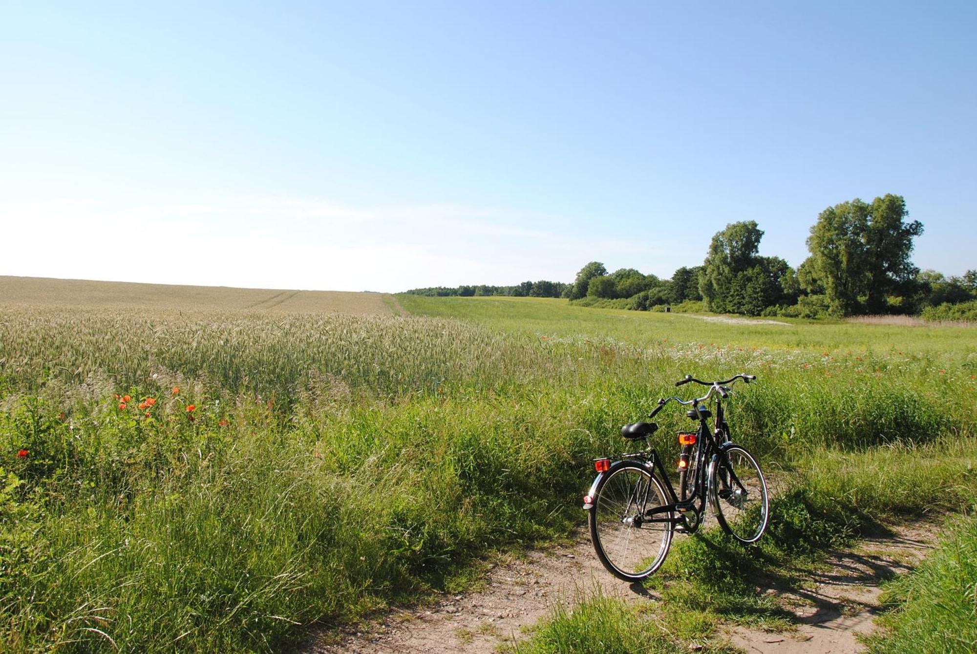 Appartementanlage-Ferienwohnungen Weisse Moewe Sassnitz Esterno foto